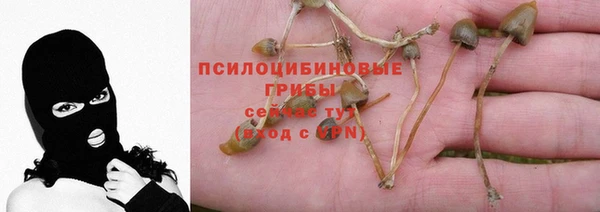 2c-b Михайловск