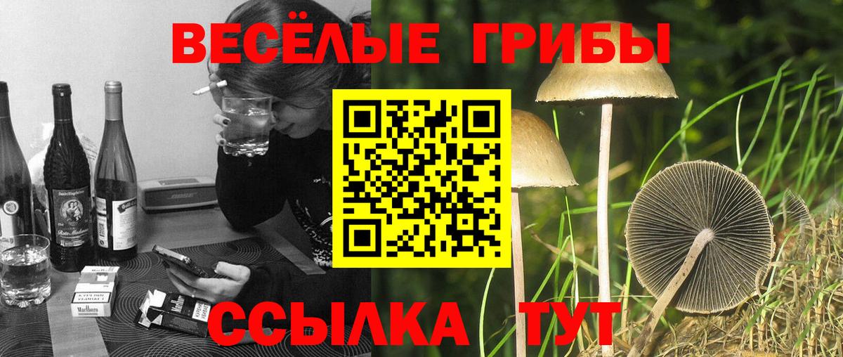 Галлюциногенные грибы GOLDEN TEACHER Барабинск