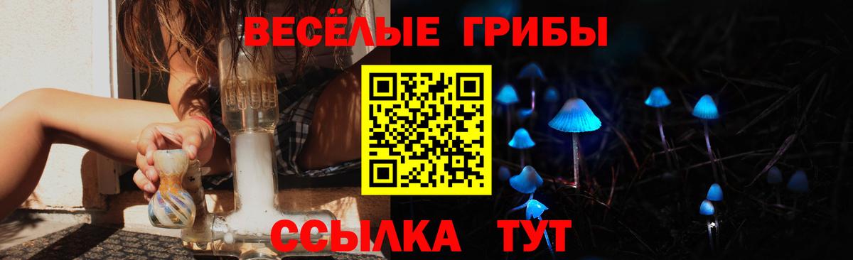 Псилоцибиновые грибы Cubensis  Галлюциногенные грибы мухоморы  Барабинск 